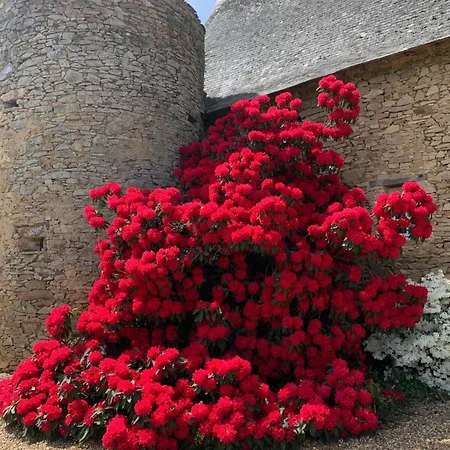 Château Du Hardas Segré